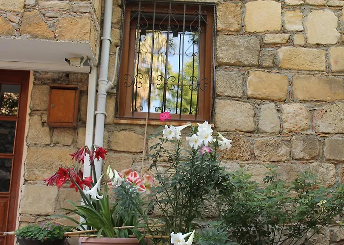 Ξενοδοχείο Nar Butik 3*